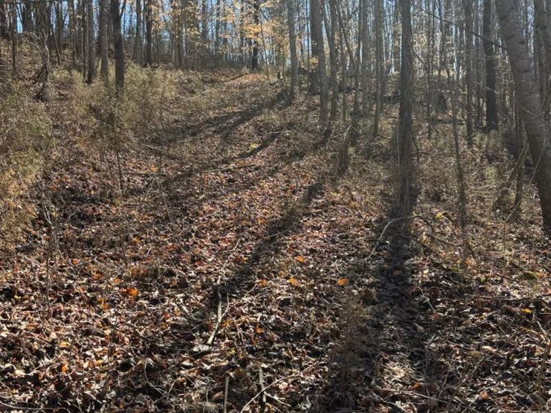 24.33 Acres with a Home in Bledsoe : Pikeville : Bledsoe County : Tennessee