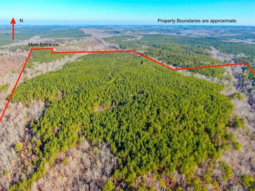122 Acres in Marion County, AL : Hamilton : Marion County : Alabama