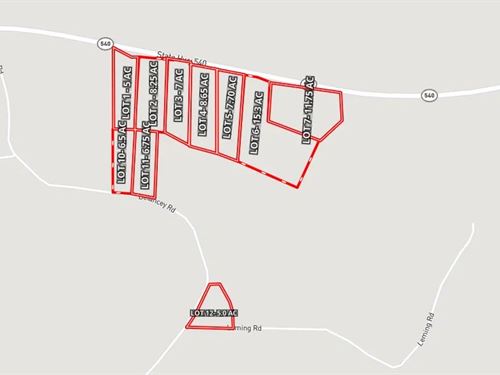 15.3 Acres Lot 6 in Simpson Count : Braxton : Simpson County : Mississippi