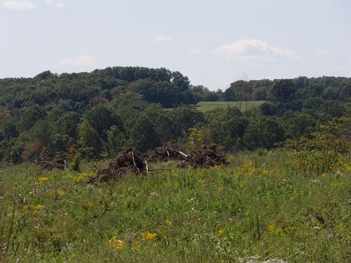 Level, Creek, 2 Road Frontages : Evansville : Bledsoe County : Tennessee