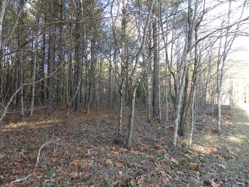 Creek, Paved Road Frontage, Level : Evansville : Bledsoe County : Tennessee