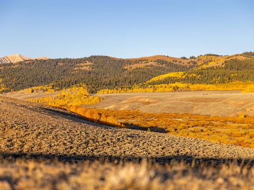 Maki Ma-K-Ha Creek Ranch 40 : Big Piney : Sublette County : Wyoming