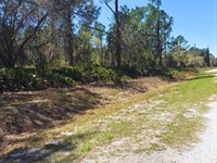 Finance Lot $195/Mo, Lake Access : Georgetown : Putnam County : Florida