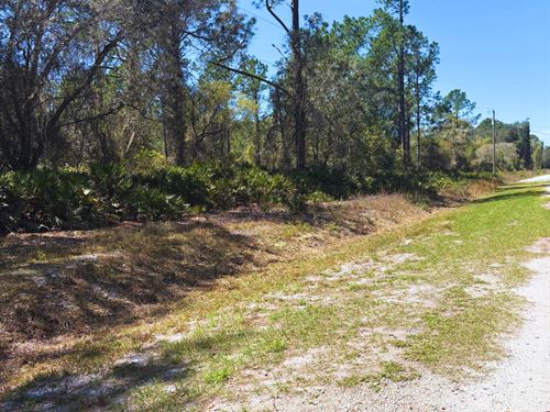 Finance Lot $250/Mo, Lake Access : Georgetown : Putnam County : Florida