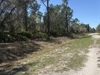 Finance Lot $250/Mo, Lake Access : Georgetown : Putnam County : Florida