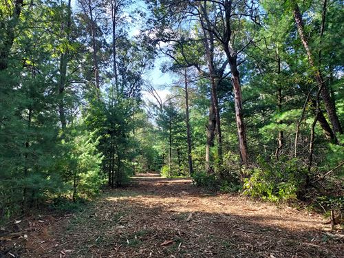 Castle Rock Lake Area Land for Sale : Friendship : Adams County : Wisconsin