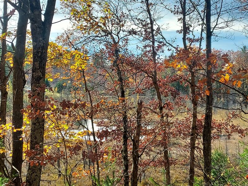 King of The Hill with Pond View : Beecher : Marinette County : Wisconsin