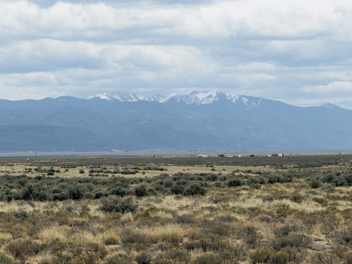 Wild Sage Mesa : Mesita : Costilla County : Colorado