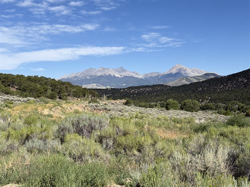 Creek Side Mountain Homestead CO : Fort Garland : Costilla County : Colorado