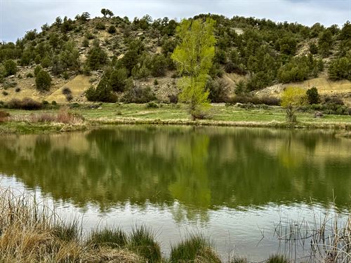 Rockin N River Ranch : Durango : La Plata County : Colorado