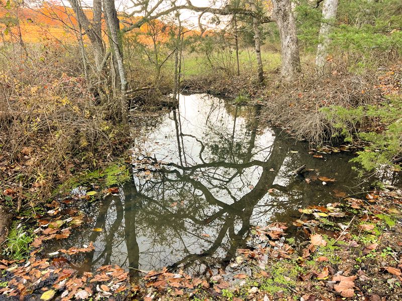 Beaver Creek Ranch : Graff : Texas County : Missouri