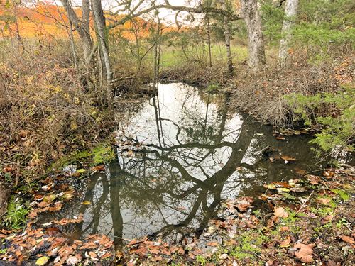 Beaver Creek Ranch : Graff : Texas County : Missouri