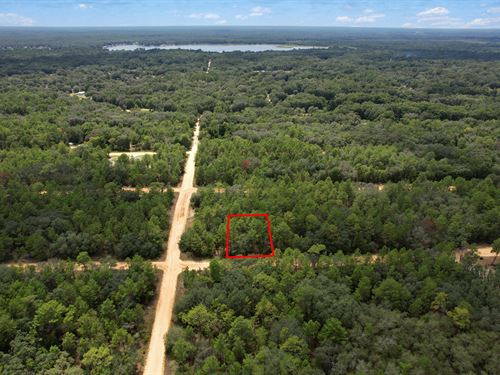 Build Your Florida Dream $199/Mo : Interlachen : Putnam County : Florida
