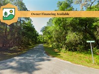 Homesite Near Rainbow Springs : Dunnelon : Citrus County : Florida