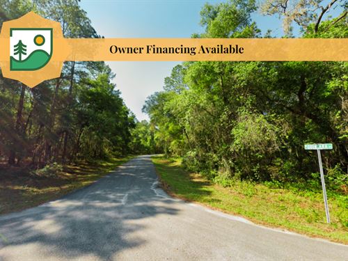 Homesite Near Rainbow Springs : Dunnelon : Citrus County : Florida