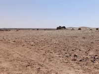 Room for Ranching, Space for Dreams : Concho : Apache County : Arizona