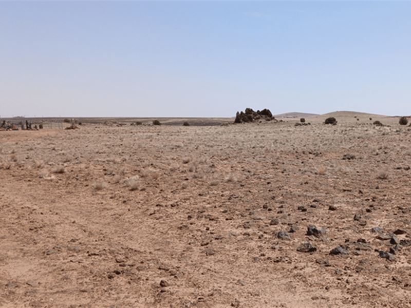 Room for Ranching, Space for Dreams : Concho : Apache County : Arizona