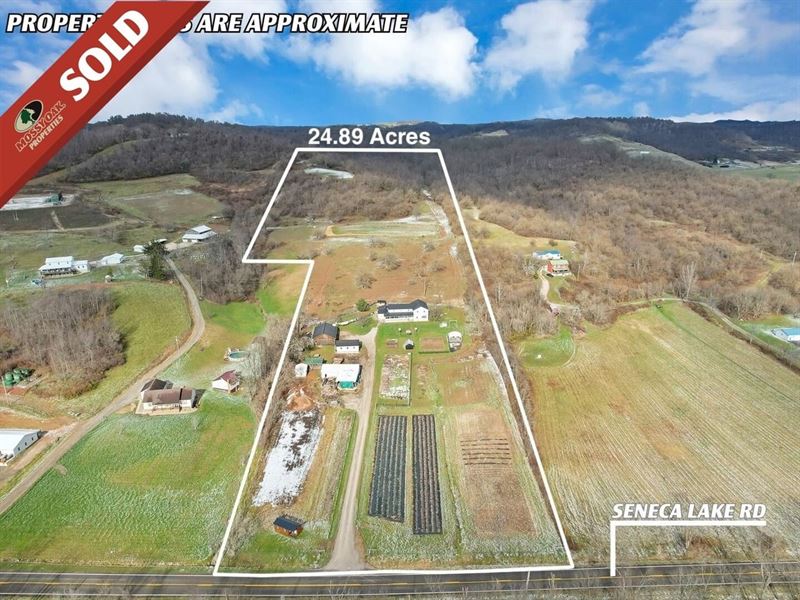 Seneca Lake Rd, 24 Acres : Quaker City : Noble County : Ohio