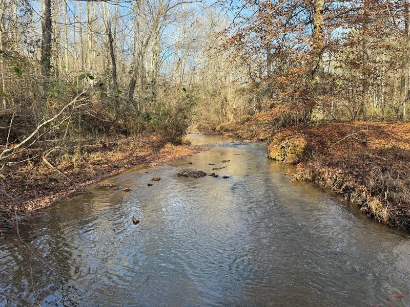 Pineywoods Creek Tract, 34 Acres : Heflin : Randolph County : Alabama