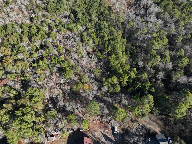 9.1 Acres in Cumberland County NC : Fayetteville : Cumberland County : North Carolina