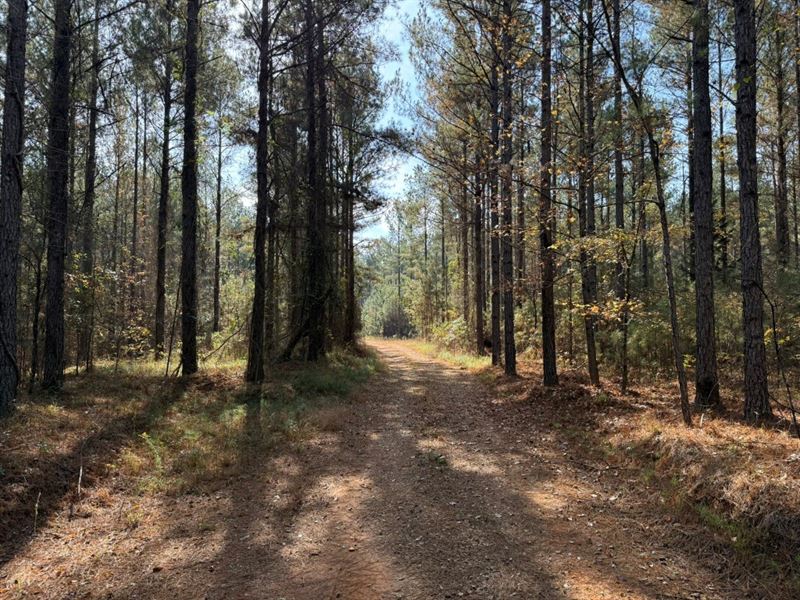 Youngblood Road : Sparta : Hancock County : Georgia