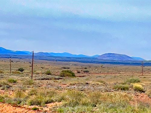 Freedom Awaits, Build or RV : Saint Johns : Apache County : Arizona