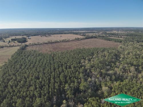 98 Ac, Timberland & Hunting : Crockett : Houston County : Texas