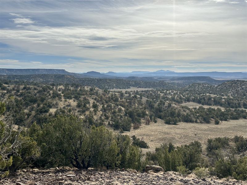 Rancho Vista : Fence Lake : Cibola County : New Mexico
