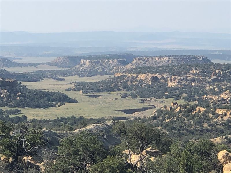 Elk Ridge Ranch : Fence Lake : Cibola County : New Mexico