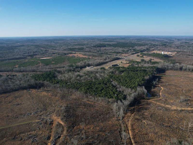 30 Acres in Holmes County, MS : Durant : Holmes County : Mississippi