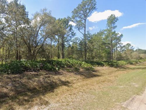 Lake Access FL Lot Only $250/Mo : Georgetown : Putnam County : Florida