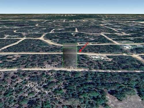 South of Lady Slipper Lake, $266/Mo : Interlachen : Putnam County : Florida
