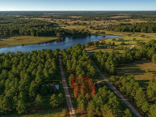 .2 Acre, Lake Views, $150/Mo : Trinity : Texas