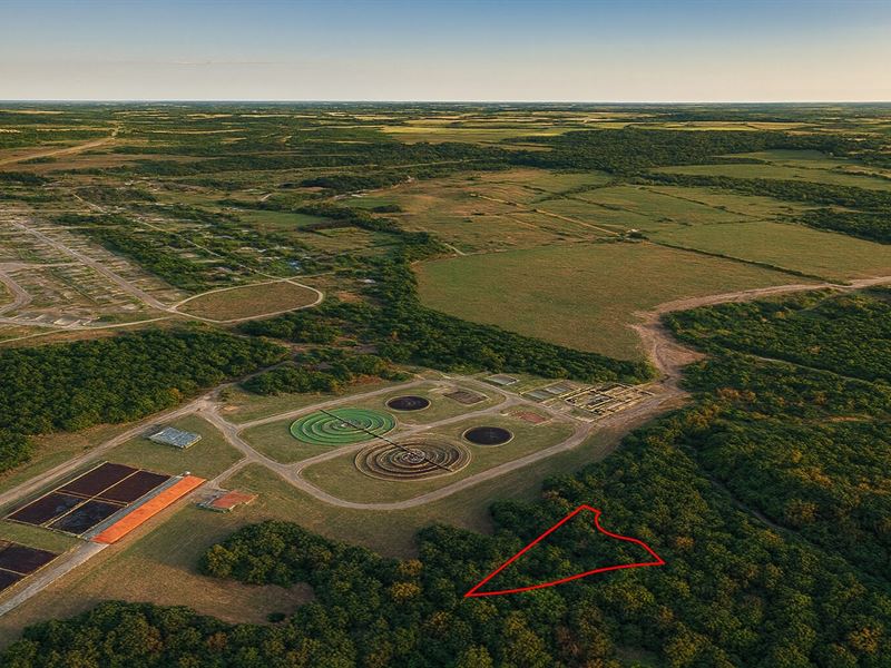 .46 Acre Highway Frontage : Huntsville : Walker County : Texas