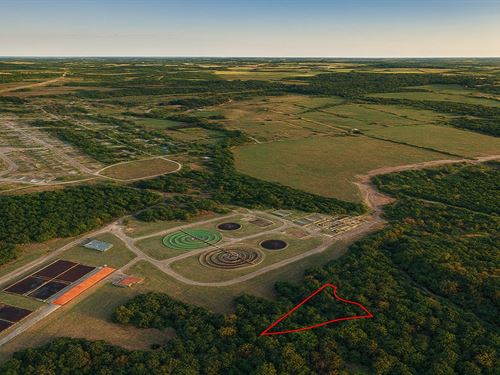 .46 Acre Highway Frontage : Huntsville : Walker County : Texas