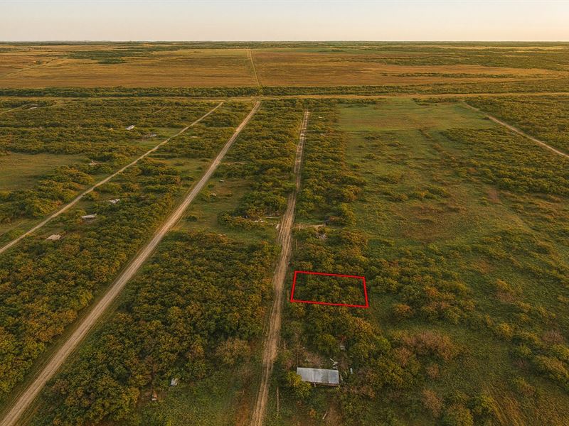 .33 Acre Wooded, Trinity River : Trinity : Walker County : Texas