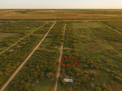 .33 Acre Wooded, Trinity River : Trinity : Walker County : Texas