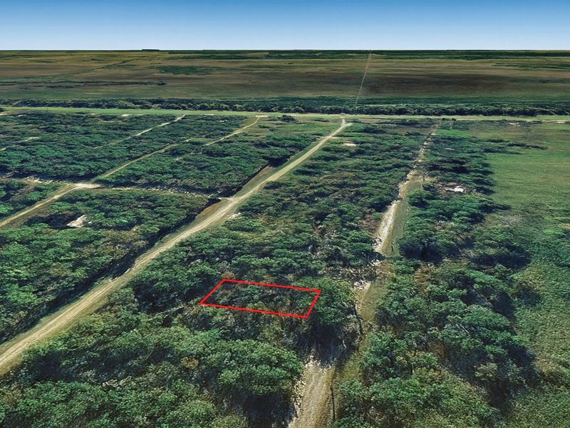 .17 Acre Near Trinity River, Flat : Trinity : Walker County : Texas