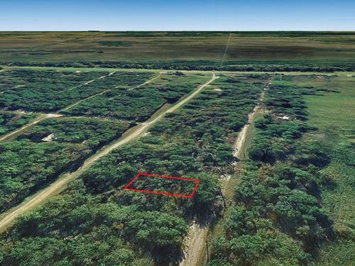 .17 Acre Near Trinity River, Flat : Trinity : Walker County : Texas