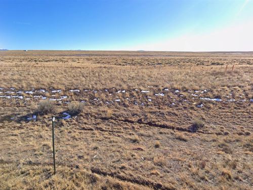 Serene Lot Near Rio Grande River : San Luis : Costilla County : Colorado