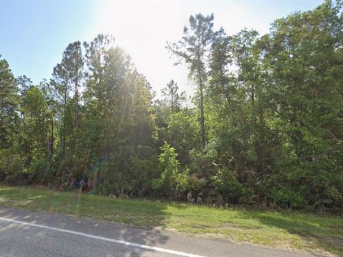 Farm-Friendly Land $99 Spring Sale : Palatka : Putnam County : Florida