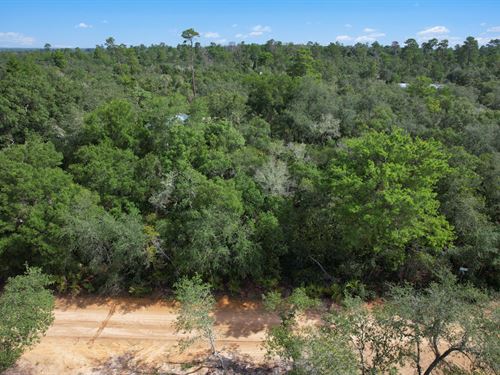 Three Lots for Price of Two : Fort McCoy : Marion County : Florida