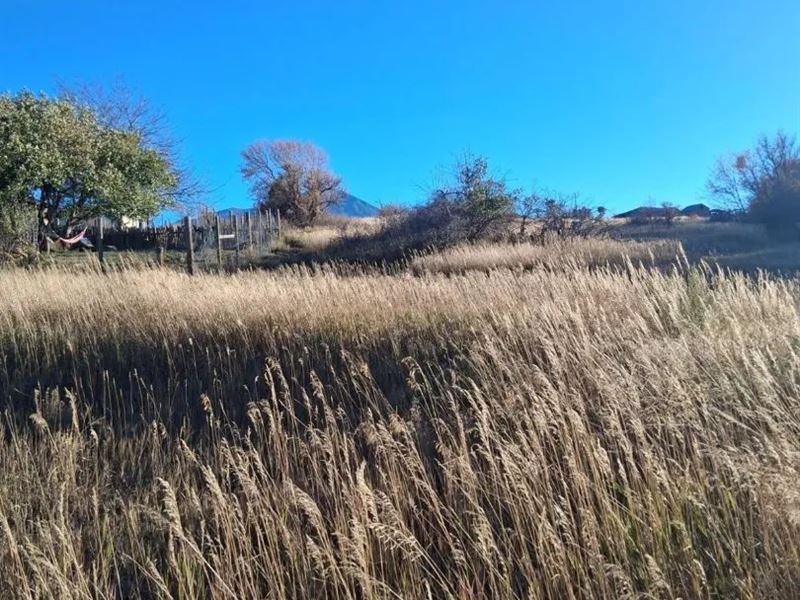 E Grand St, Laveta, CO 81055 : La Veta : Huerfano County : Colorado