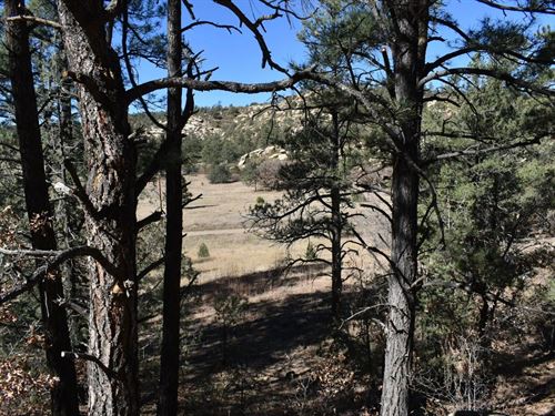 268-269 Rancho LA Garita Filing No : Weston : Huerfano County : Colorado