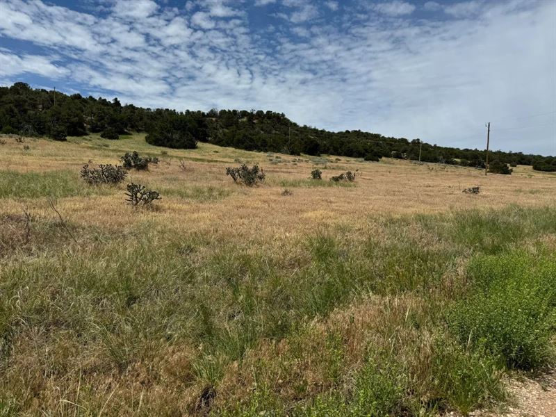 Badger Rd 171 & 172, Walsenburg : Walsenburg : Huerfano County : Colorado