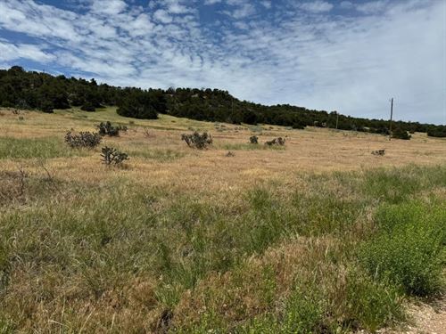 Badger Rd 171 & 172, Walsenburg : Walsenburg : Huerfano County : Colorado