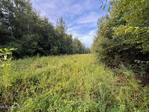 48 Acres For Sale in Jones County : Ellisville : Jones County : Mississippi
