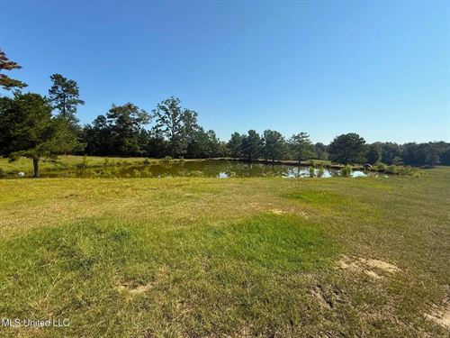 Rolling Hills Pastureland And Woode : McComb : Pike County : Mississippi