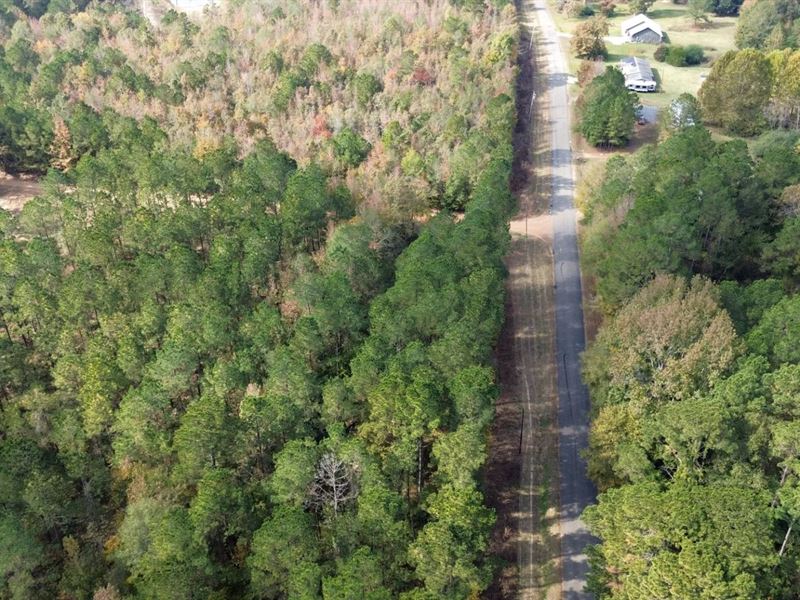 Prime 3.0 Acre Lot for Sale in Rust : Ruston : Lincoln Parish : Louisiana