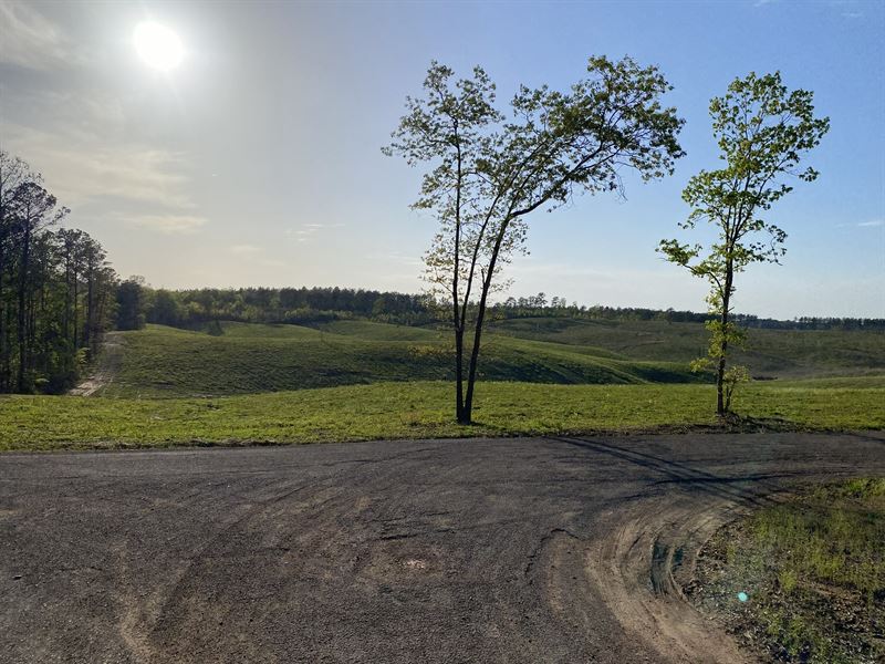 Land for Sale in Tn, 7.6 Ac : Bethel Springs : McNairy County : Tennessee